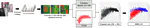SoN: Selective Optimal Network for Smartphone-based Indoor Localization in Real-time