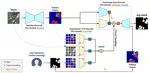 Bayesian Multiclass Segmentation for Remote Sensing: Integrating User Priors and Uncertainty