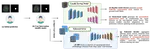 Human-Intervention Segmentation via Federated Intent Embedding and Multi-Mask Recommendation