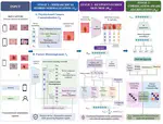 Biomarker-Aware Mixture-of-Experts for Device-Invariant Personalized Skin Diagnosis