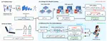 Learning When to Correct: Selective Calibration for Monocular Kinematics