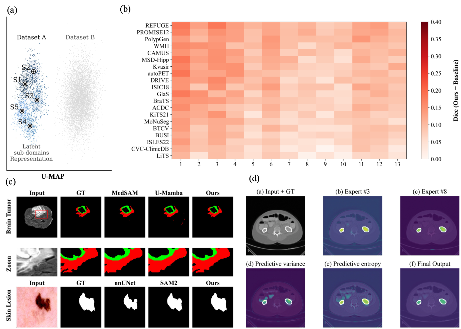 Dynamic Sub-domain Modeling for Robust Medical Image Segmentation