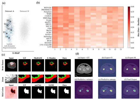 Dynamic Sub-domain Modeling for Robust Medical Image Segmentation