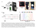 Intelligent Smartphone-based Multimode Imaging Otoscope for the Mobile Diagnosis of Otitis Media