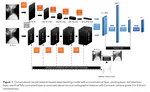 Deep-Learning Model Associating Lateral Cervical Radiographic Features with Cormack--lehane Grade 3 Or 4 Glottic View