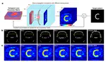 Machine Learning-Enhanced Skull-Universal Acoustic Hologram for Efficient Transcranial Ultrasound Neuromodulation Across Varied Rodent Skulls