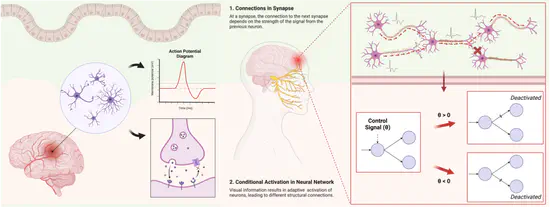 Connectome Mapping: Shape-Memory Network via Interpretation of Contextual Semantic Information